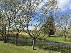 Photo 18- click for photo gallery